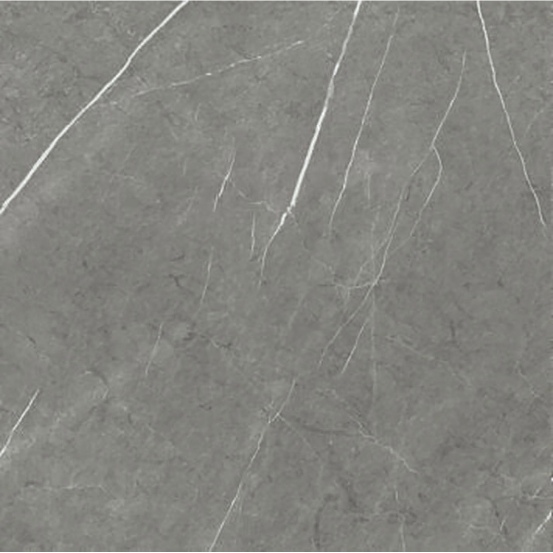 DSL-Beternal-60x60-Dark.jpg