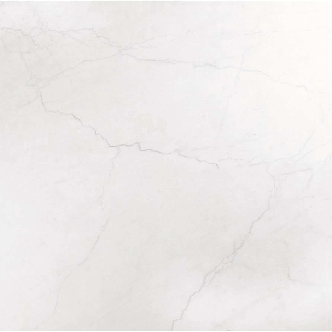 DSL-Halo-7979-Blanco.jpg