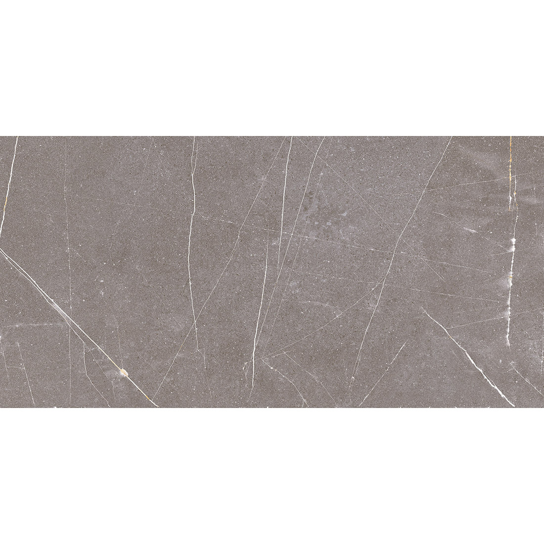 DSL-Status-3060-Gris.jpg