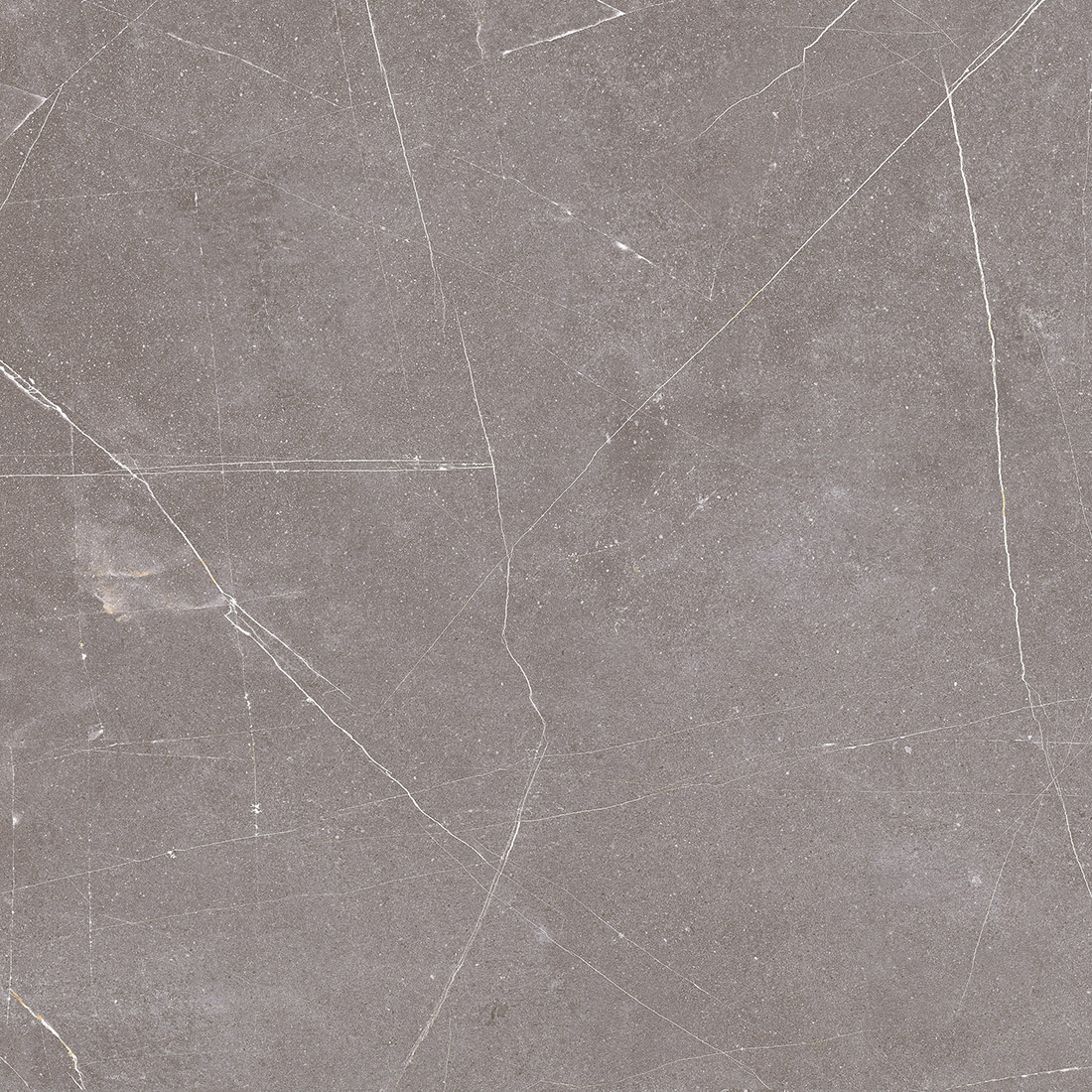 DSL-Status-6060-Gris.jpg
