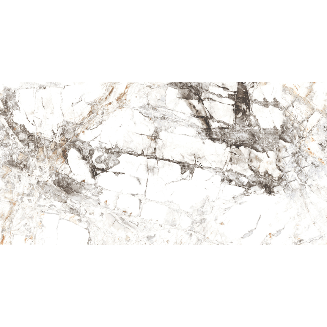 DSL-Zebra-3060.jpg